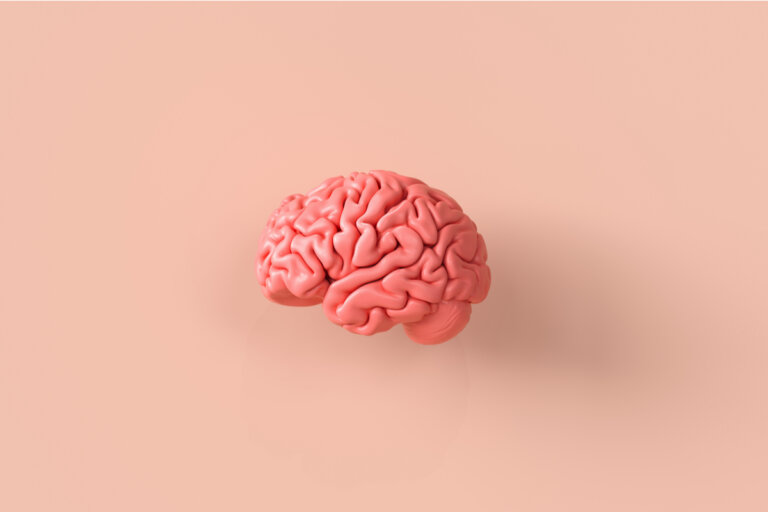 CHAUVINISMO: SIGNIFICADO, TIPOS y CONSECUENCIAS DESCUBRE