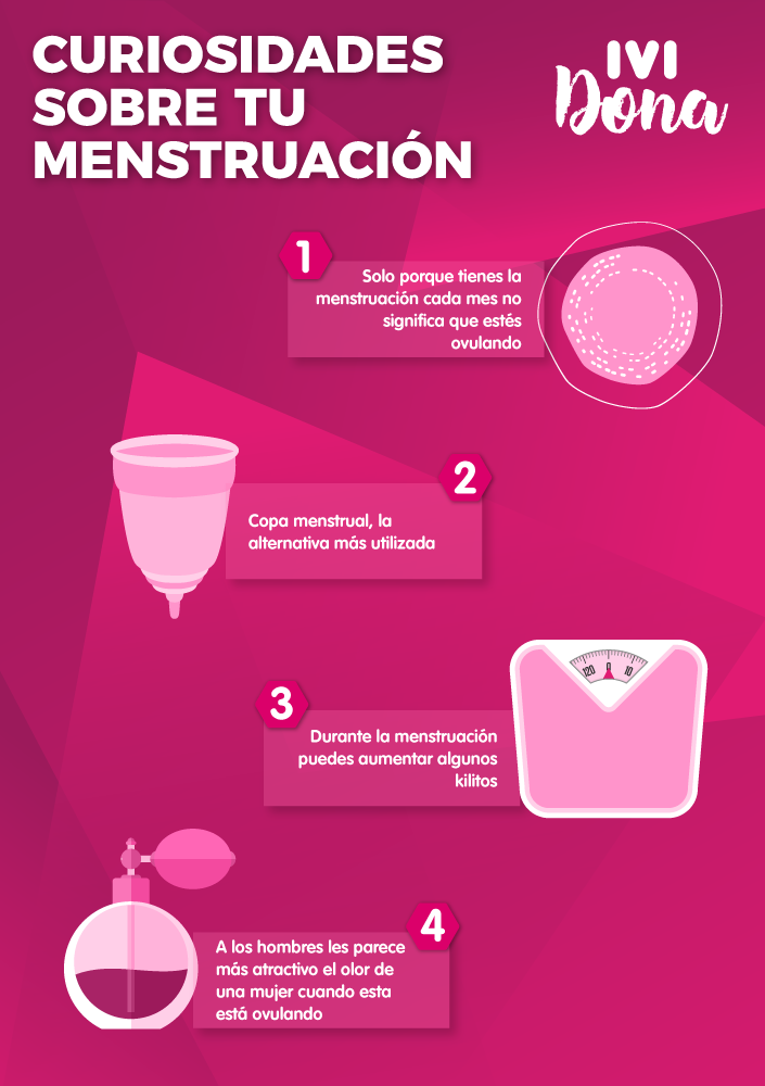 CICLO MENSTRUAL: Todo lo que DEBES SABER ¡Infórmate!