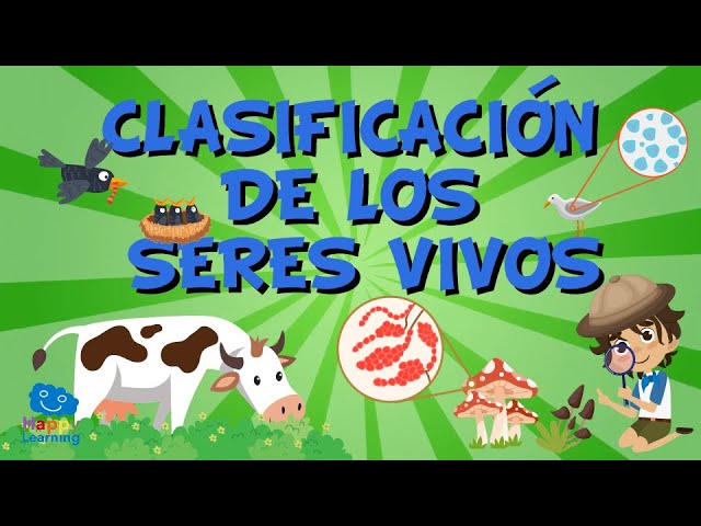 CLASIFICACIÓN ANIMAL: DESCUBRE SUS SECRETOS ¡HAY MÁS!