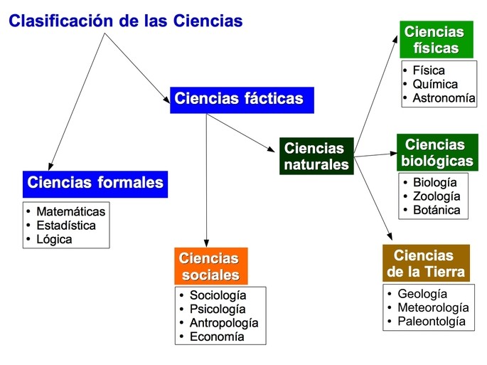 CLASIFICAR: Significado y Uso en BIOLOGÍA y ECONOMÍA