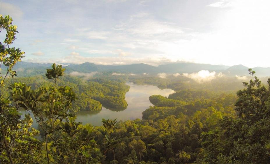 CLIMA TROPICAL: DESCUBRE SUS TIPOS Y CARACTERÍSTICAS