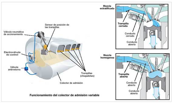 COLECTOR: Definición y Concepto Esencial que Debes Conocer