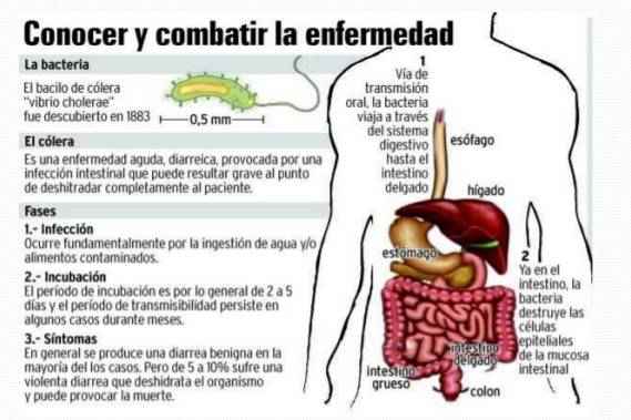 CÓLERA: Descubre su SIGNIFICADO y CONCEPTOS claves