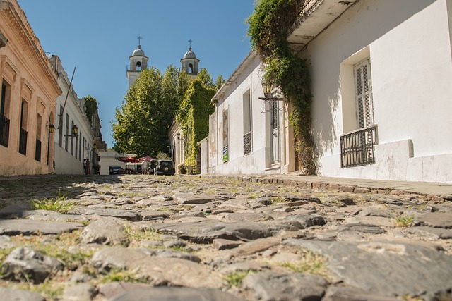 Colonia: DEFINICIÓN y TIPOS en HISTORIA y BIOLOGÍA