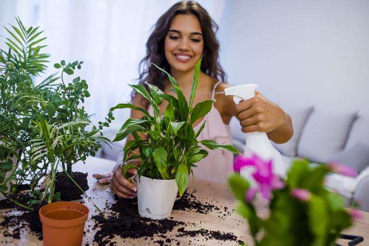 Cómo cuidar adecuadamente una planta y conocer sus secretos
