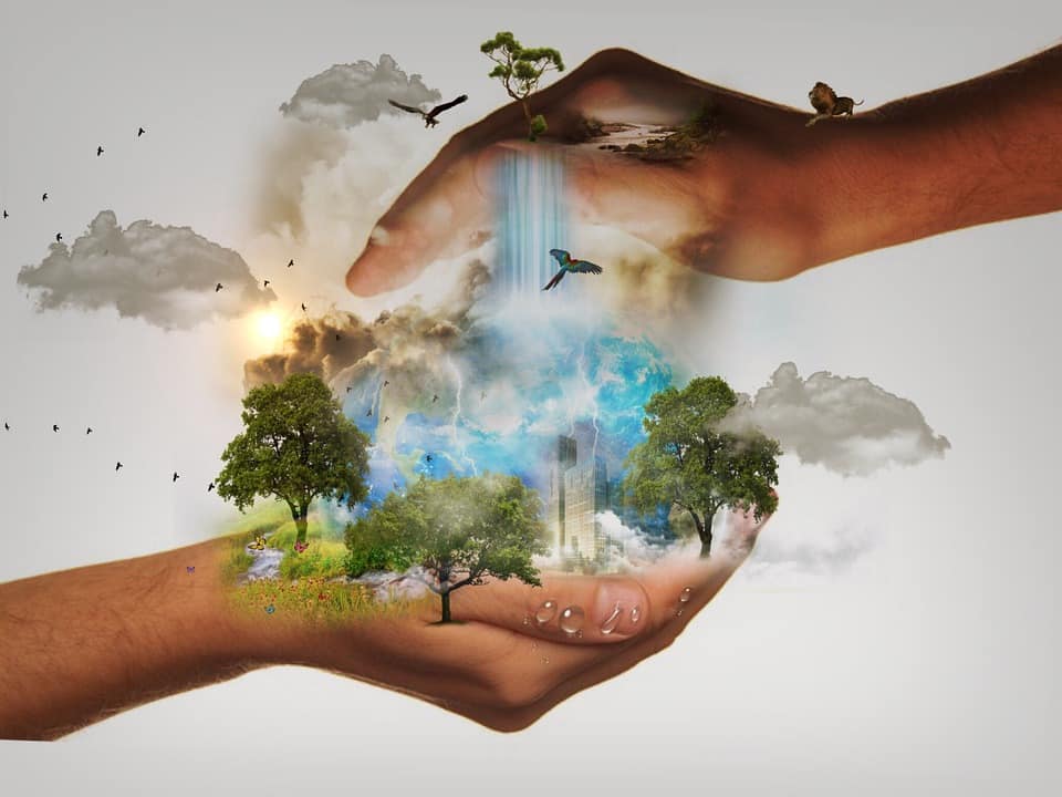 Cómo cuidar la biodiversidad y fomentar nuestra ética ambiental