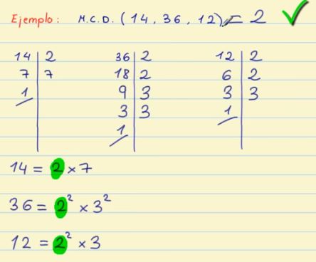 Cómo dominar fácil el mínimo común divisor en fracciones