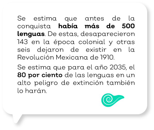 Cómo enriquecen las lenguas indígenas el idioma en México