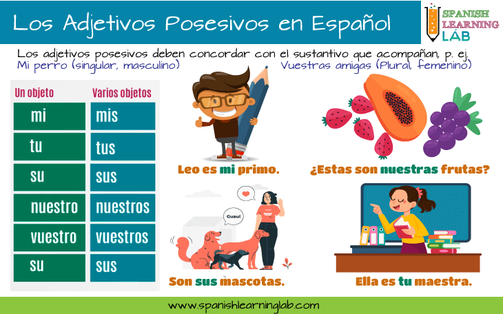 Cómo entender el significado y uso esencial de los posesivos
