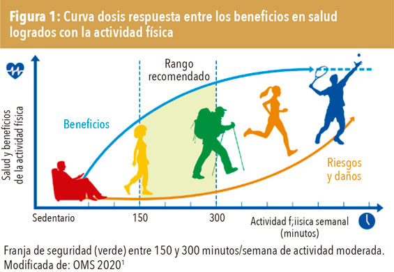 CÓMO EVITAR LESIONES en el APARATO LOCOMOTOR: 10 CLAVES
