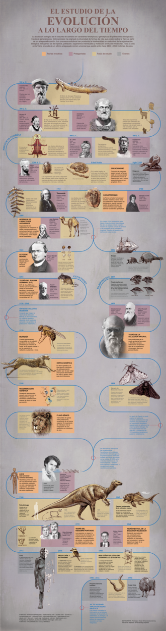 Cómo ha cambiado el evolucionismo a lo largo de la historia