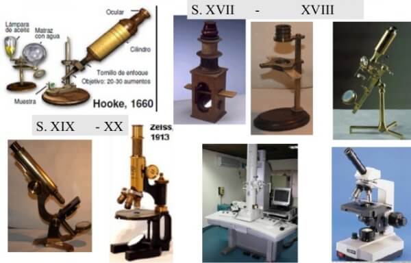 Cómo ha evolucionado el microscopio a través de la historia