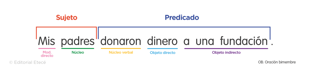 Cómo identificar el objeto directo en 20 ejemplos claros y útiles