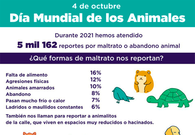 Cómo impacta el maltrato animal en nuestra sociedad actual