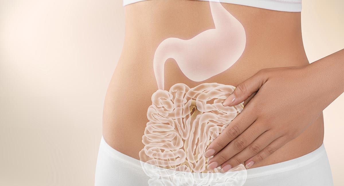 Cómo influye el sistema digestivo en tu nutrición y bienestar