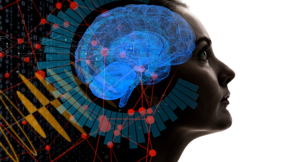 Cómo influye la física en el cuerpo humano y qué secretos revela