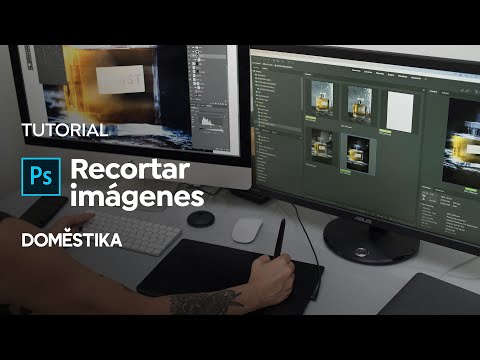 CÓMO PUEDEN CAMBIAR la FORMA de OBJETOS Descúbrelo