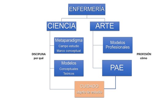 Cómo se crean marcos conceptuales y qué elementos se utilizan