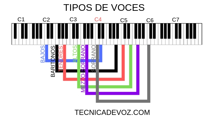 Cómo se escribe correctamente: vos o voz ¡Descúbrelo aquí!