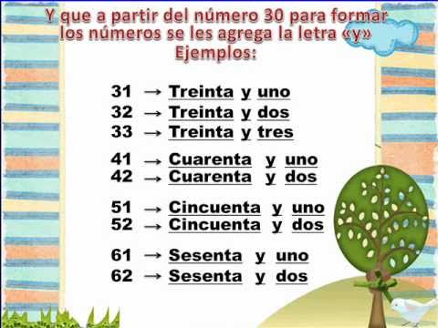 Cómo se escribe el número 31 en letras correctamente