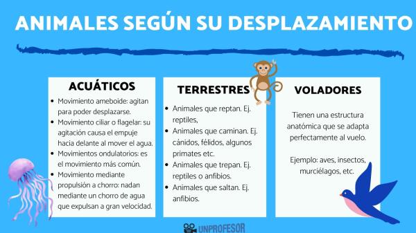 Cómo se mueven los animales voladores en diferentes entornos