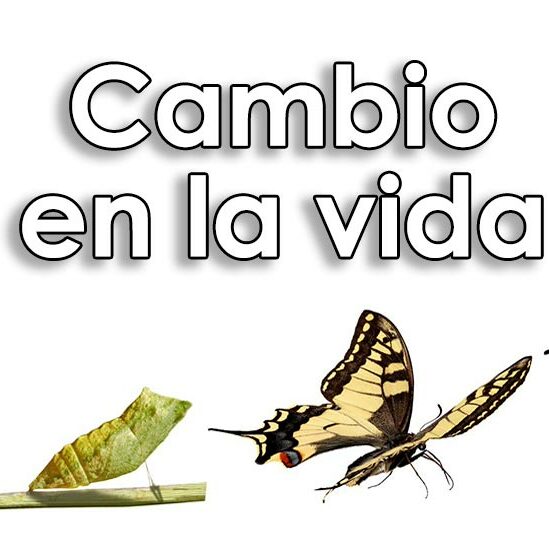 Cómo se transforma el esfuerzo en el valor que cambia tu vida