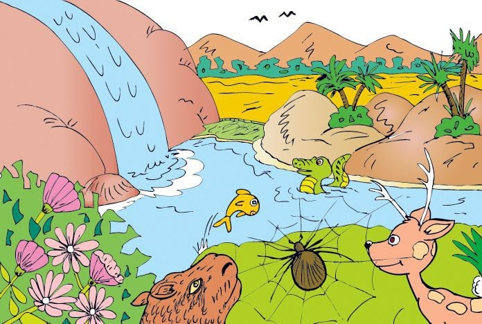 COMPONENTES NATURALES DE LA TIERRA: DESCÚBRELOS AHORA