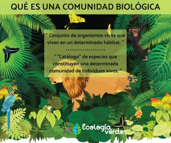 COMUNIDAD BIOLÓGICA: DESCUBRE SU IMPORTANCIA ¡AHORA!