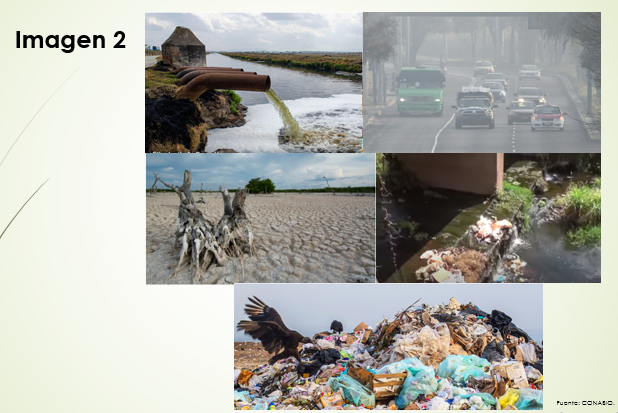 CONSECUENCIAS DEL DETERIORO AMBIENTAL: Causas y Efectos