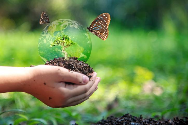 CONSERVACIÓN DE BIODIVERSIDAD: Descubre su IMPORTANCIA