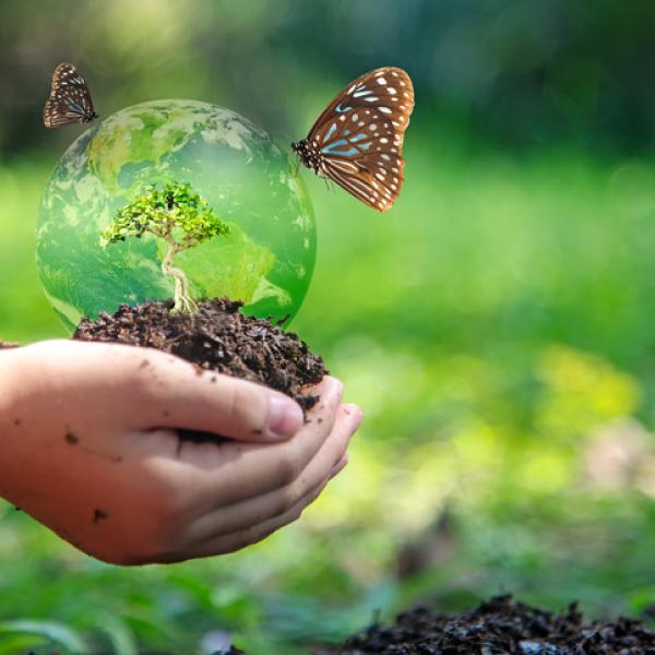 CONSERVACIÓN DE LA BIODIVERSIDAD: ¡Descubre su IMPORTANCIA!