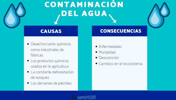 Contaminación: TIPOS, CAUSAS y CONSECUENCIAS CLAVE