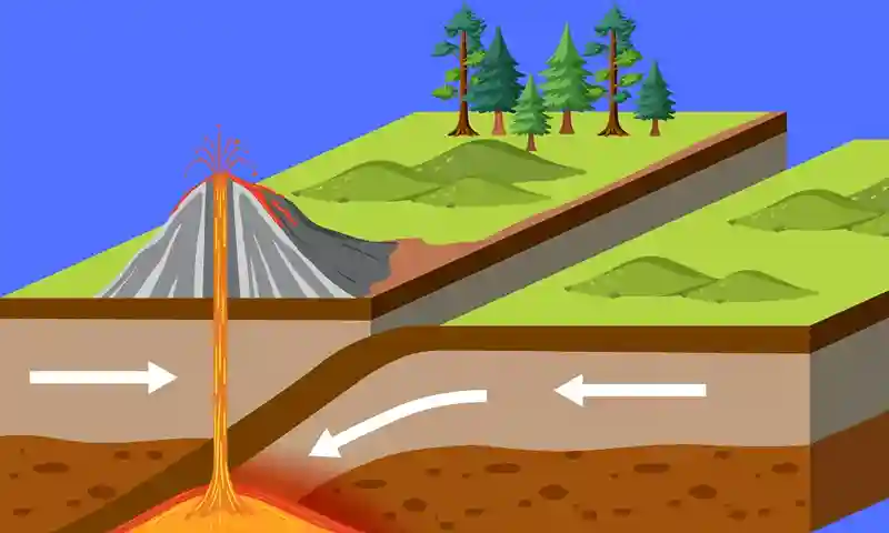 CONVERGENCIA: DEFINICIÓN y su IMPACTO en POLÍTICA y BIOLOGÍA