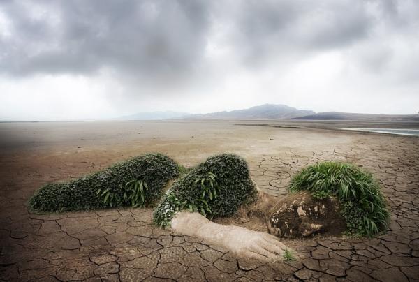 CRISIS AMBIENTAL: DESCUBRE SU IMPACTO Y SOLUCIONES