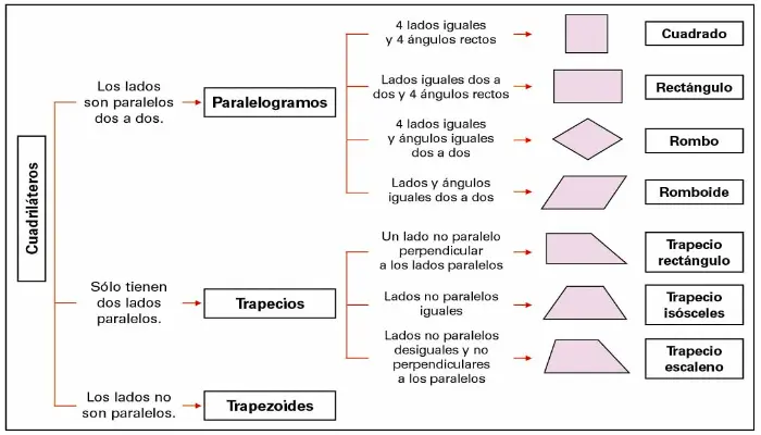 CUADRILÁTERO: DEFINICIÓN, TIPOS y CARACTERÍSTICAS ÚNICAS