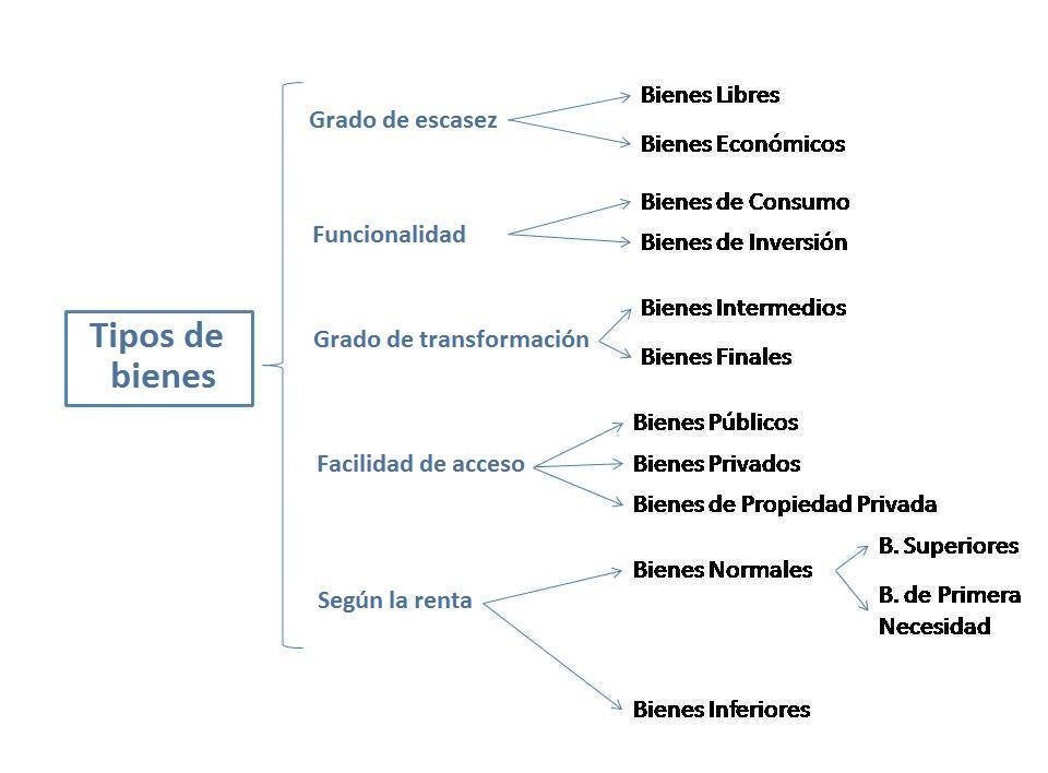 Cuál es el concepto y ejemplos de bienes intermedios