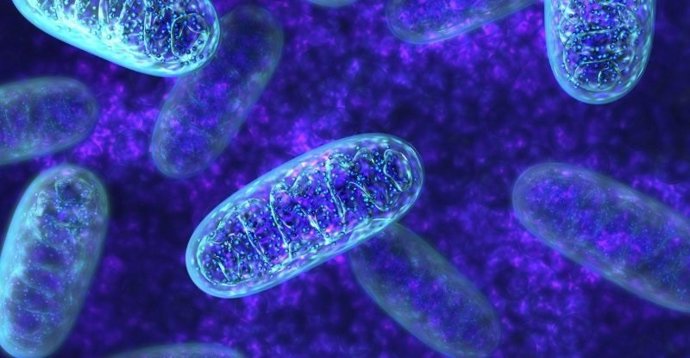 Cuál es el misterio y la función del ADN en la biología