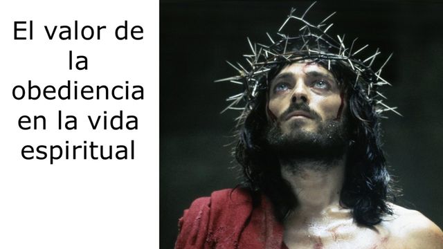 Cuál es el origen, ámbitos y niveles de la obediencia