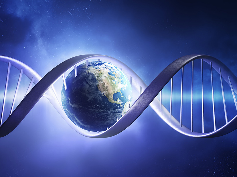 Cuál es el origen de la vida y qué misterios esconde