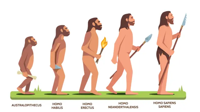 Cuál es el origen y evolución de Homo Sapiens hacia el hombre moderno