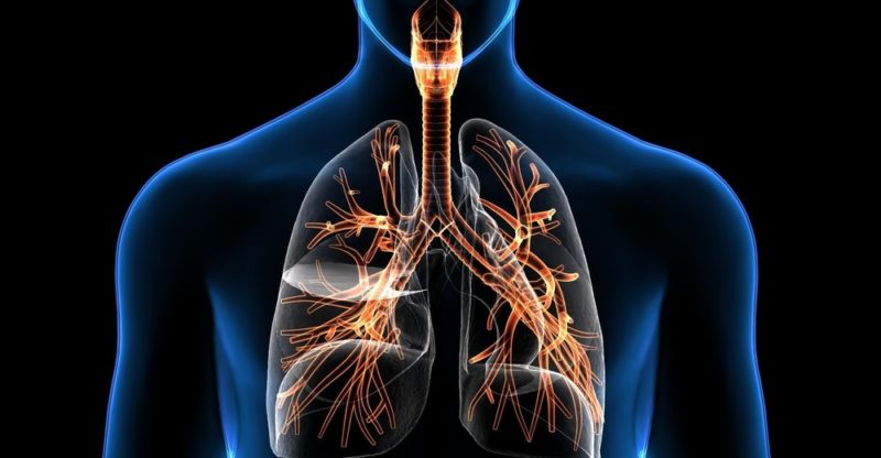 Cuál es el proceso de respiración y su importancia esencial