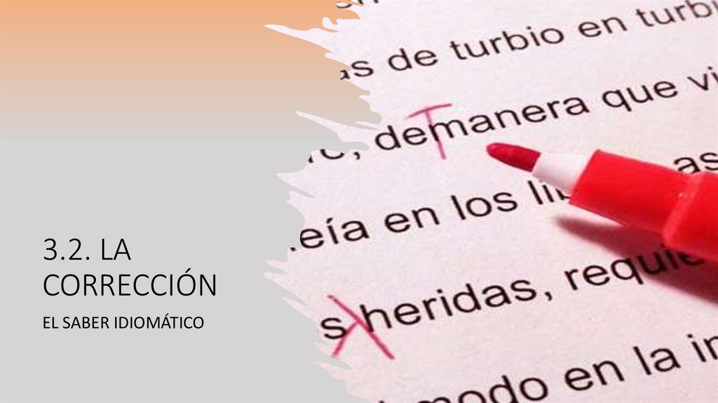 Cuál es el significado de grosa y qué sinónimos debo conocer