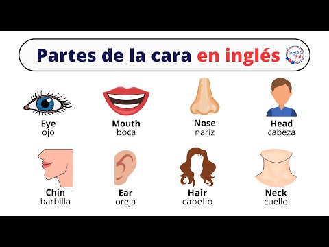 Cuál es el significado de la palabra BOCA en inglés