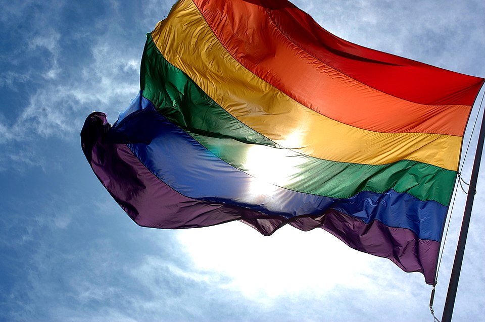 Cuál es el significado, historia y derechos del movimiento LGBTI