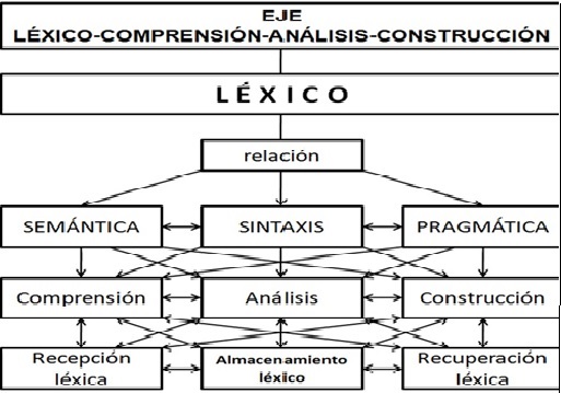 Cuál es el significado, tipos e importancia del léxico en el lenguaje