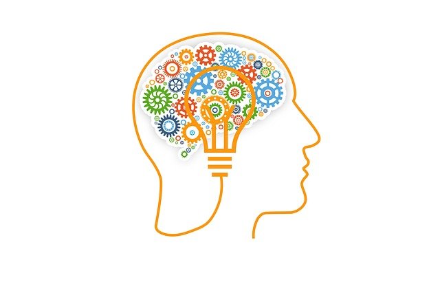 Cuál es el significado y clasificación de arquetipos en biología y filosofía