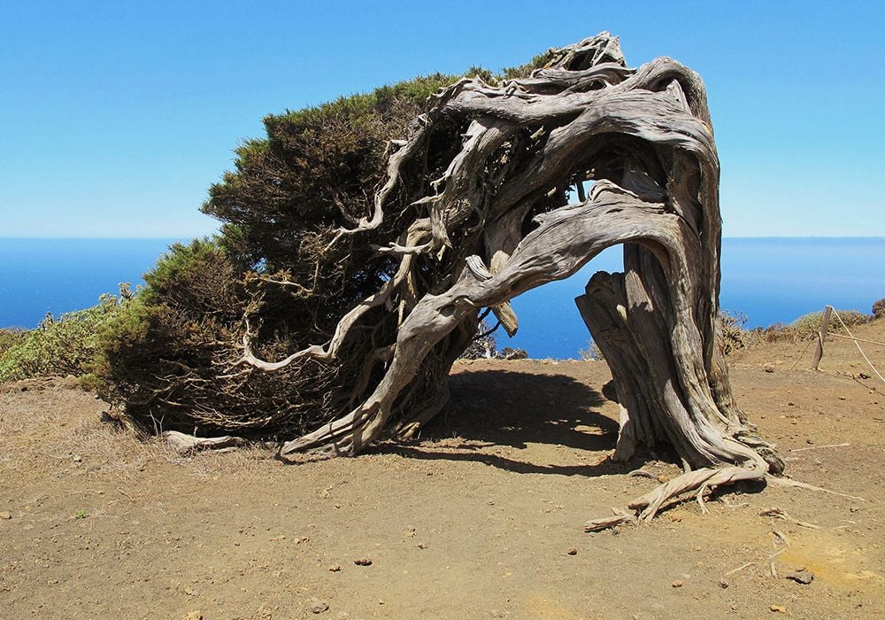 Cuál es el significado y concepto del viento Descúbrelo aquí