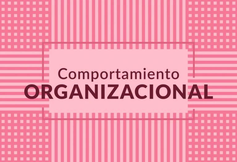 Cuál es Importancia y características del comportamiento organizacional