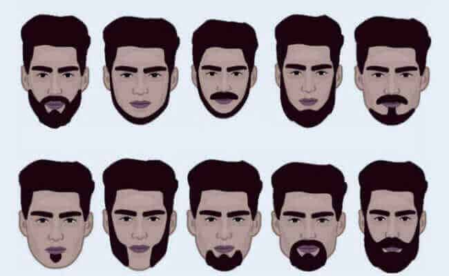 Cuál es Importancia y definición clave de la barba