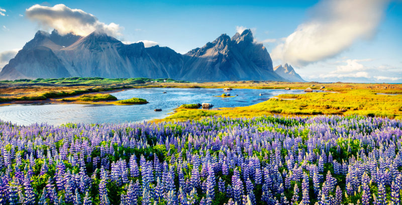 Cuál es la definición de paisaje y qué significados tiene